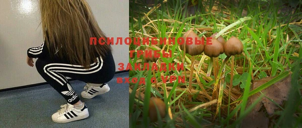 дмт Армянск
