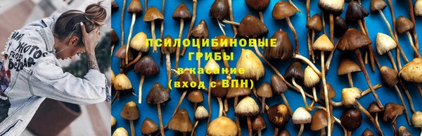 дмт Армянск