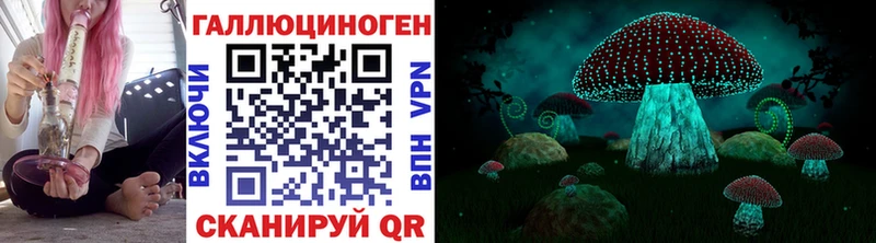 Галлюциногенные грибы мицелий  Ноябрьск 